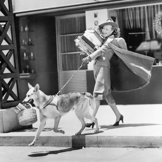 Young woman going shopping with her German shepherd and carrying presents
