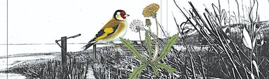 the-stubborn-light-of-things